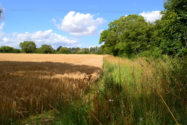 Corner of field near Damerham