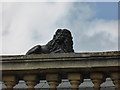 TF1025 : Roof Lion by Bob Harvey