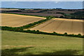 Fields near Rockbourne