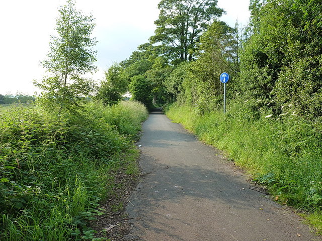 Bridleway north of Northycote Farm