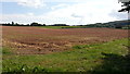 First & last field in Herefordshire