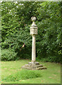 SK7565 : Sundial in Ossington churchyard by Alan Murray-Rust