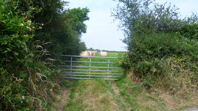 Field entrance off a lane