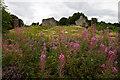 Caergwrle Castle (1)