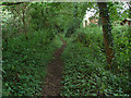 Footpath off Blacksmith Lane