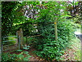 Footpath junction with Cobbett Hill Road