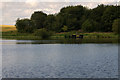 West end of White Loch, Ardblair, Blairgowrie