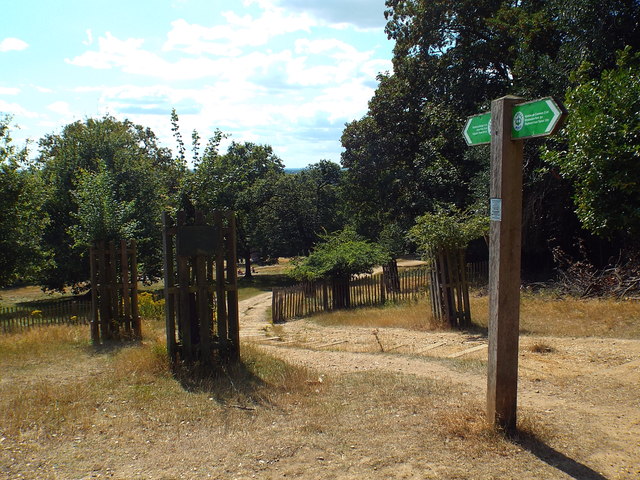 Capital Ring in Richmond Park