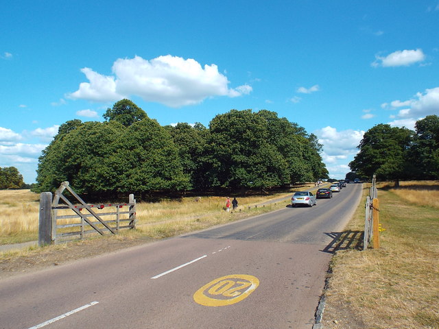 Road through Richmond Park