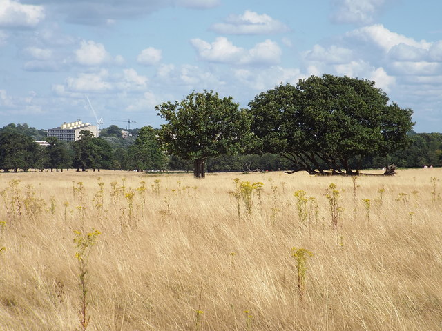 Richmond Park