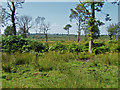 Vine Farm, Ash Ranges