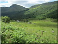 Looking towards the river in Glen Croe