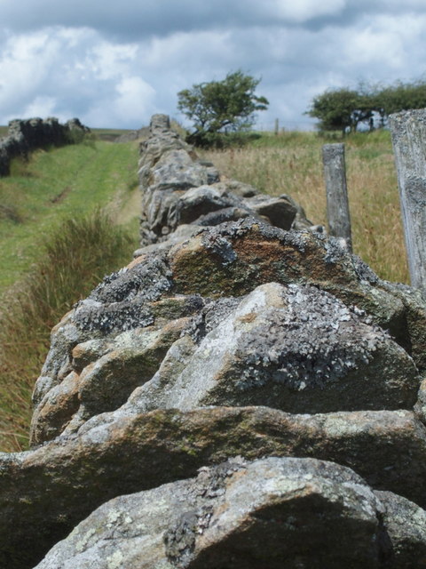 Stone Wall on Pen y Foel