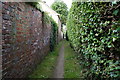 Riverside path towards Mill Lane, Acaster Malbis