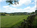 View from Oakenbank Lane