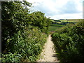 Oakenbank Lane,near Rainow