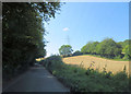 Penfold Lane and fields under the pylons