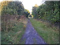 Bowes Railway Path