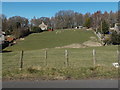 Distant sheep grazing in a field, Yorkley