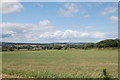 Field and landscape off Wooley Lane