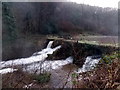 White water on the Angiddy west of Tintern