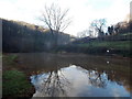 Reflections on a pond in the Angiddy Valley west of Tintern