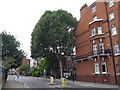 Looking across Royal Hospital Road towards Tite Street