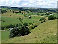 Upper Dovedale