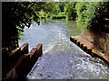 The Weir : Cobham Mill