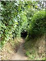 Footpath to Balland Lane, Ashburton