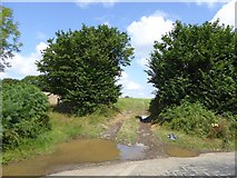 SX7672 : Two field entrances near Owlacombe Cross by David Smith