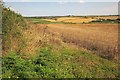 Farmland near Upton