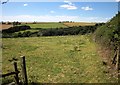 Field by Kerse Lane