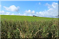 Farmland near High Plyde