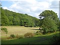 Valley of River Ashburn at Lurgecombe