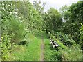 Strathspey Railway trackbed