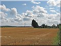 Stubble at Council Farm