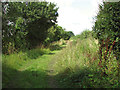 Footpath to Hall Farm