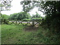 Gates at the end of the bridleway