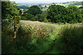 The Ebor Way towards the River Wharfe