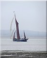 TR0567 : Sailing-barge 'Marjorie' tacking across the Swale by Stefan Czapski