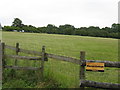 Field by the track to Warren Cottage