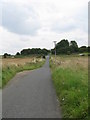 The lane from Syreford nears the A436