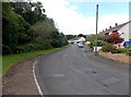 Houses and trees, Berkeley Crescent, Sebastopol, Pontypool