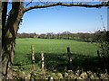 Field near Hollies Farm