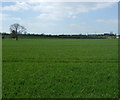 Crop field, Penniment Farm