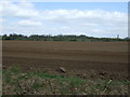 Field, Batley Farm