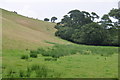 North Devon : Countryside Scenery