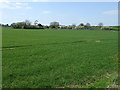 Towards Bolsover Moor Farm