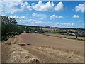 Crop Field and Farmsteads near Clowne